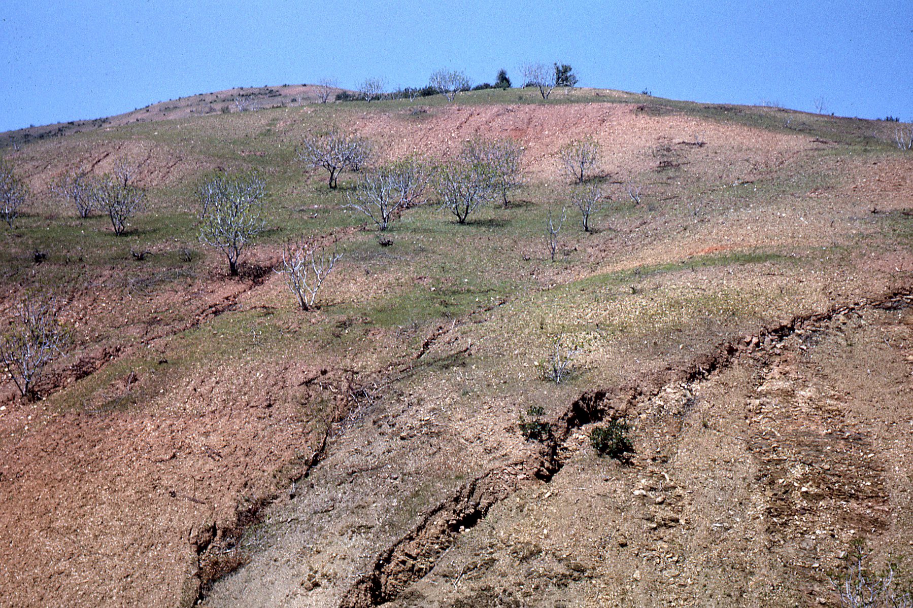 regosoles-erosion-en-surcos-fuente-inra-alan-ruelan