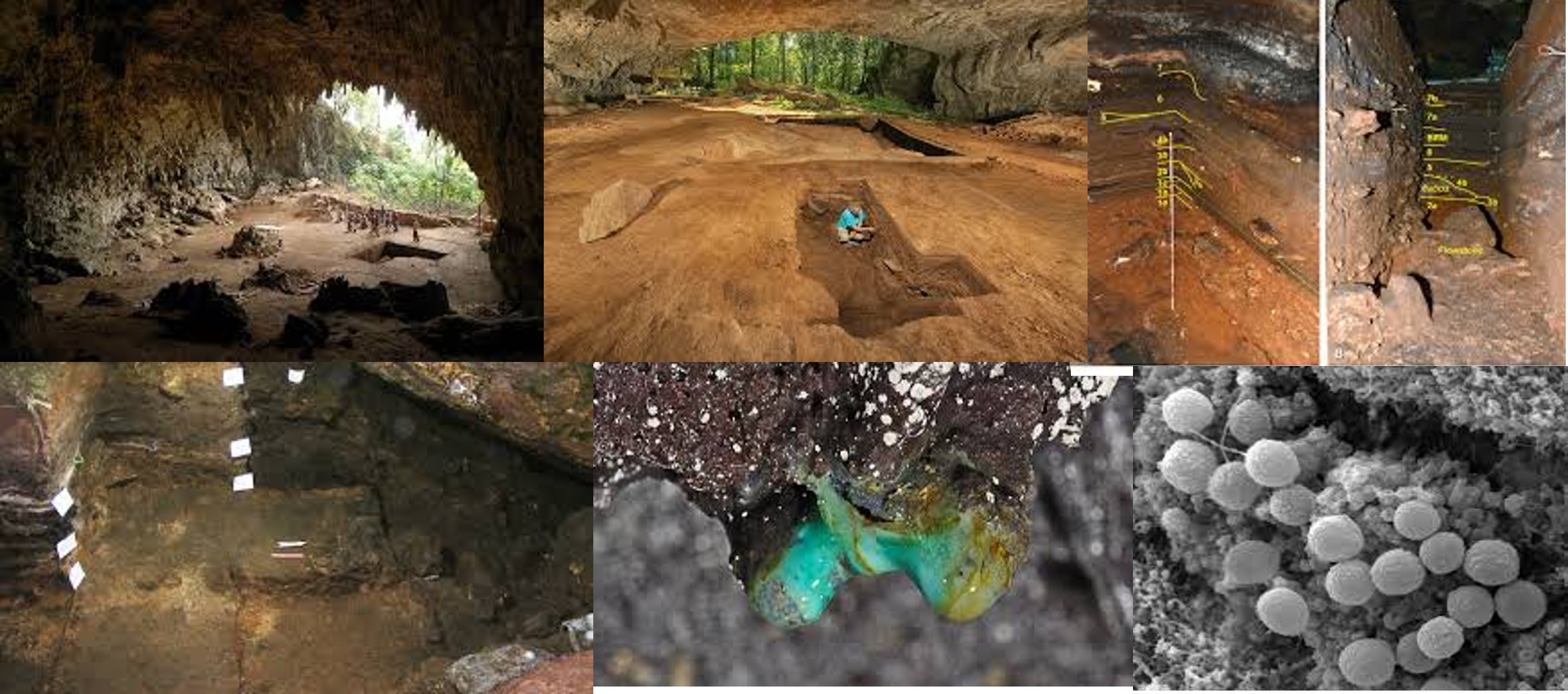 suelos-en-cuevas-y-farmacos