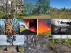 Austria-fuego-semillas