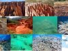 Carcavas-y-corales