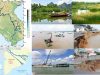 Delta-del-Mekong