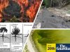 Fuego-suelo-hidrofobia
