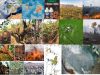 Humos-incendios-rehabilitacion