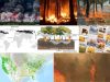 Incendios-forestales-Canada
