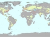 areas-fertiles-y-selladas-de-la-edafosfera-esb