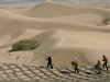 combatiendo-la-desertificacion-fuente-alianz