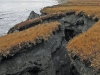 erosion-de-acantilados-de-permafrost-alaska-fuente-universidad-de-alaska2