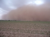 erosion-eolica-y-labranza-o-duststorm
