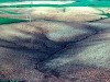 Severe sheet and rill erosion on highly erodible soils in northwest Iowa after heavy rains. The spring rains fell on soils that had no protection against soil erosion.