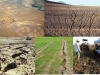 erosion-por-laboreo