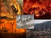 fuego-incendios-y-mala-ciencia