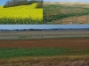 lower-tisza-valley-mosaico