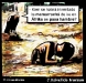 o_Africa olvidadahambre