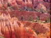 o_Badland1