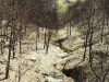 o_Carcavas tras incendios forestales