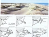 o_Erosion costera