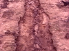 o_Erosion en surcos