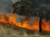 o_Erosion fuego
