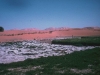 o_IMG0036