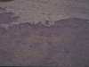 o_IMG0053