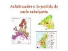 o_Sellado Madrid Europa