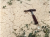 o_SoilCrust