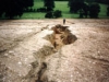 o_gully erosion