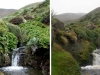 o_macquarie-island Context com