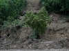 o_mudflow2