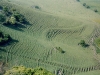o_soil_creep_slope