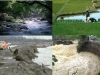 ripisilvas-erosion-contaminacion