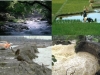 ripisivas-erosion-contaminacion