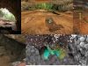 suelos-en-cuevas-y-farmacos
