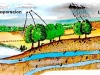 o_Ciclo del Agua Regulo