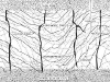 o_Craks en Vertisuelos USDA mo16_slickensides2