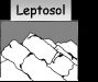 o_Leptosol croquis
