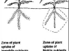 o_Martin Torres N Agroecosistemas Fig 3