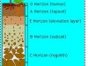 o_Perfil Bidimensional de Suelo