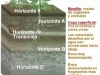 o_busqueda suelos carbonatos suelo