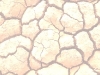 o_cracked