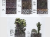 o_forest soils
