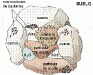 o_microeswtructure plot