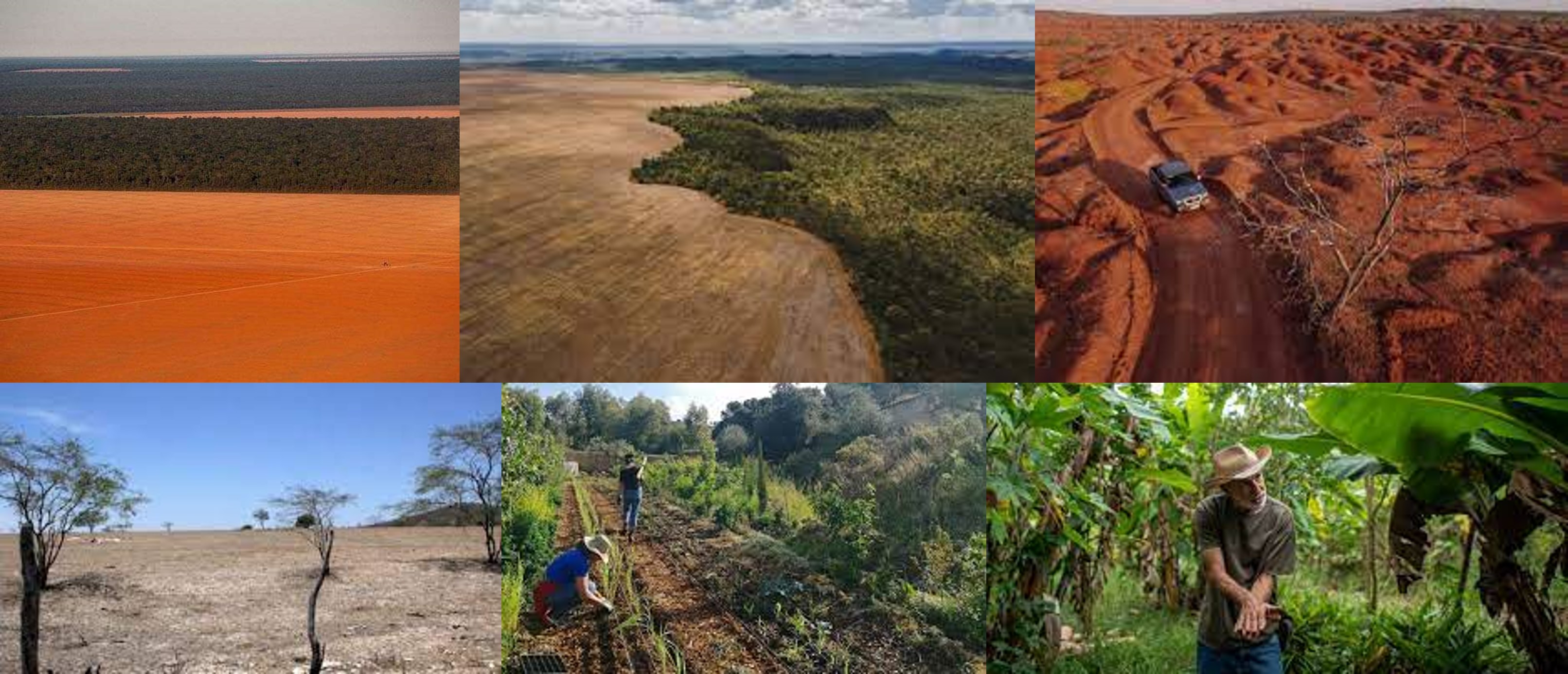 Brasil-rehabilitacion-suelos-degradados