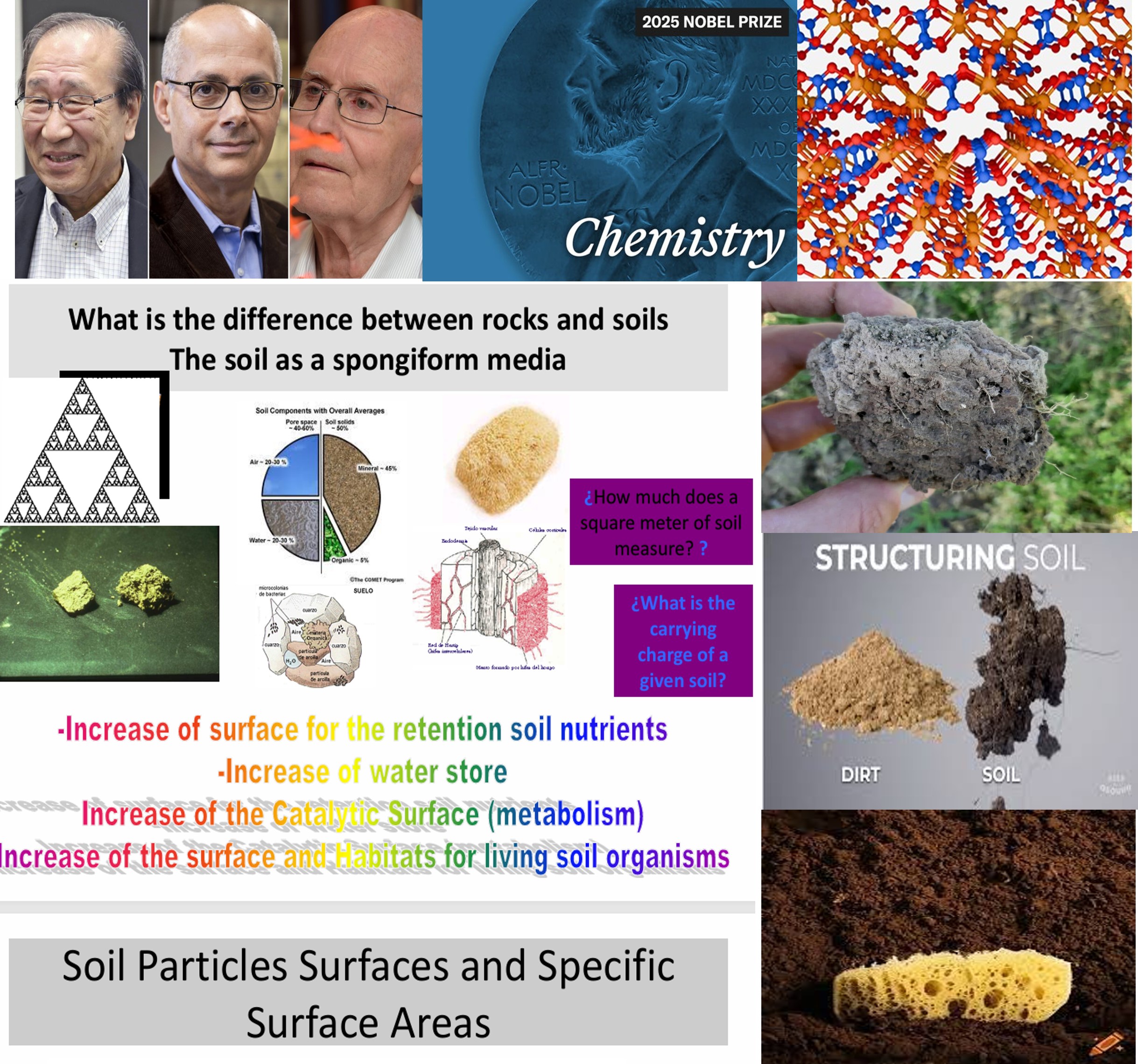 Esponja-y-Premios-Nobel