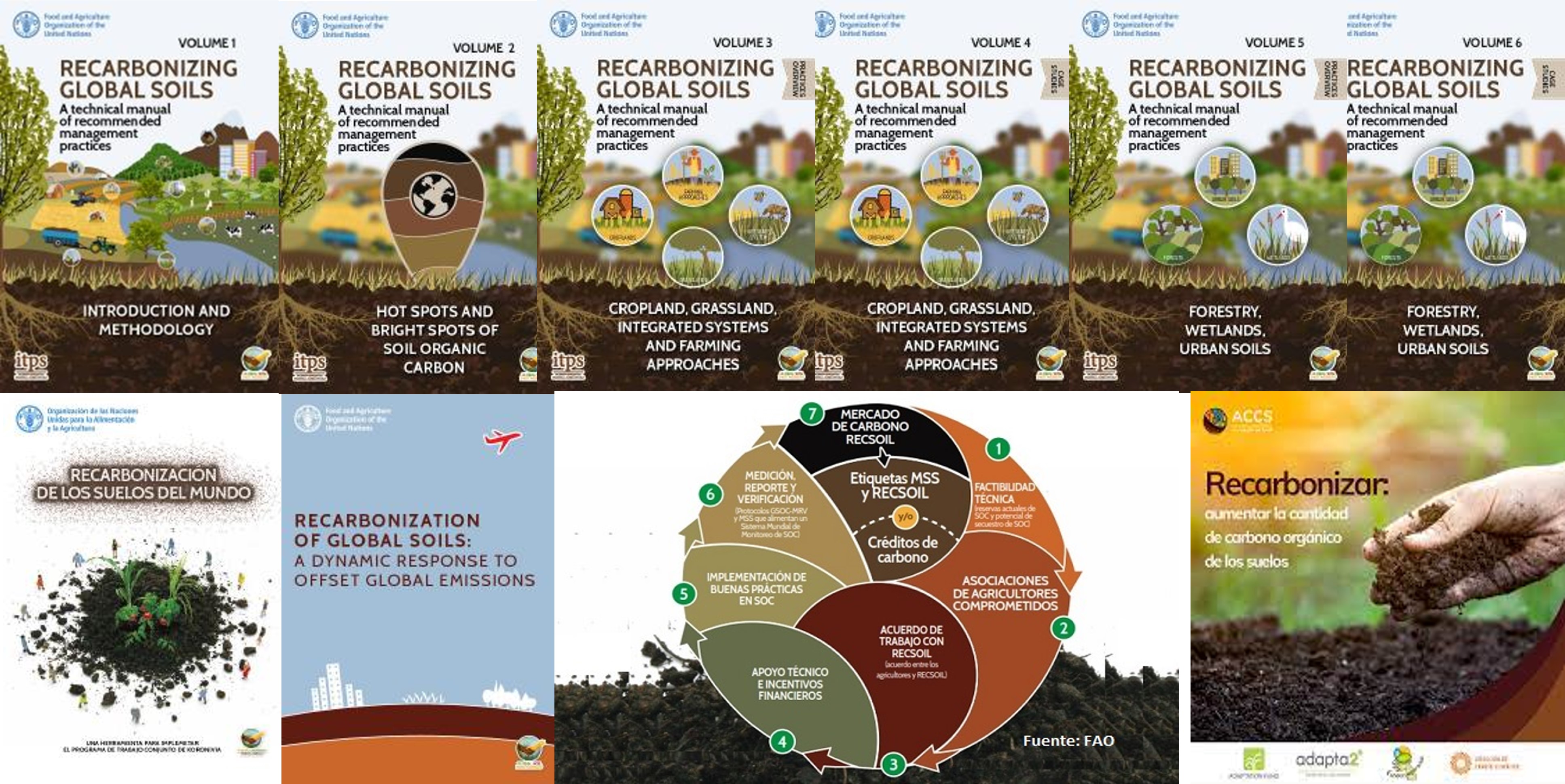 Racarbonizar-suelos-Mundo-FAO