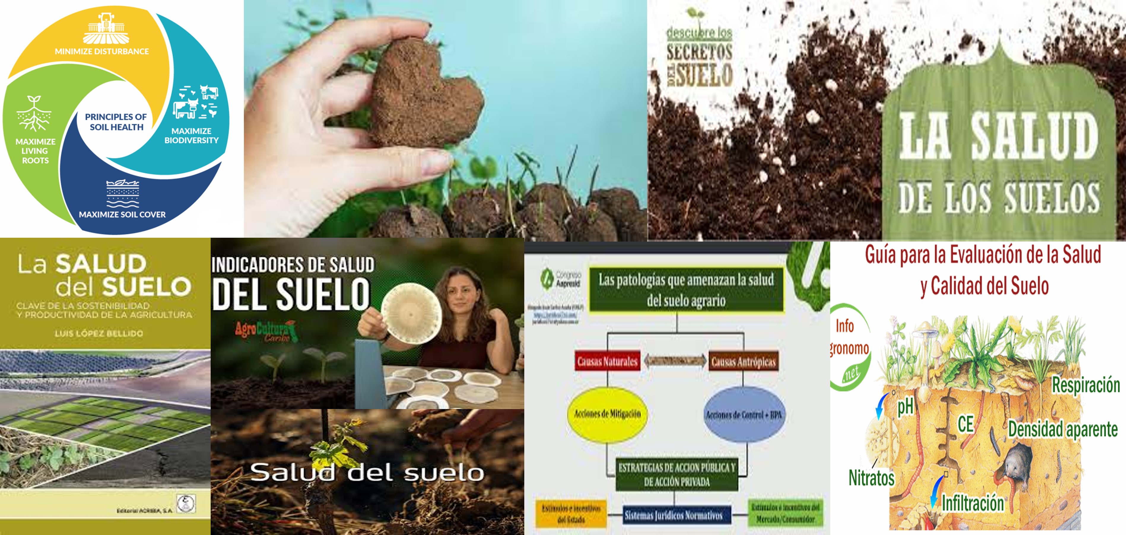 Salud-del-Suelo-2024-USDA