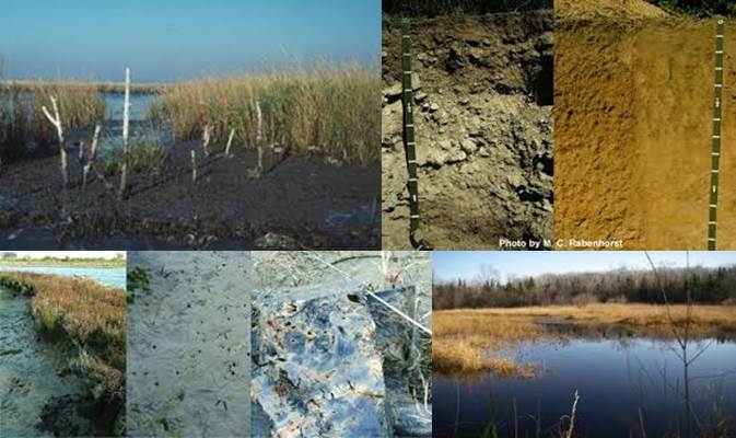 suelos-hidricos-y-ciclo-del-azufre