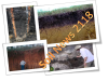 0-soil-news-2018
