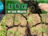 ABC-de-la-salud-del-Syuelo-USDA