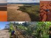 Brasil-rehabilitacion-suelos-degradados